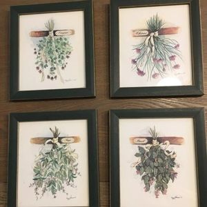 Vintage style herb pictures